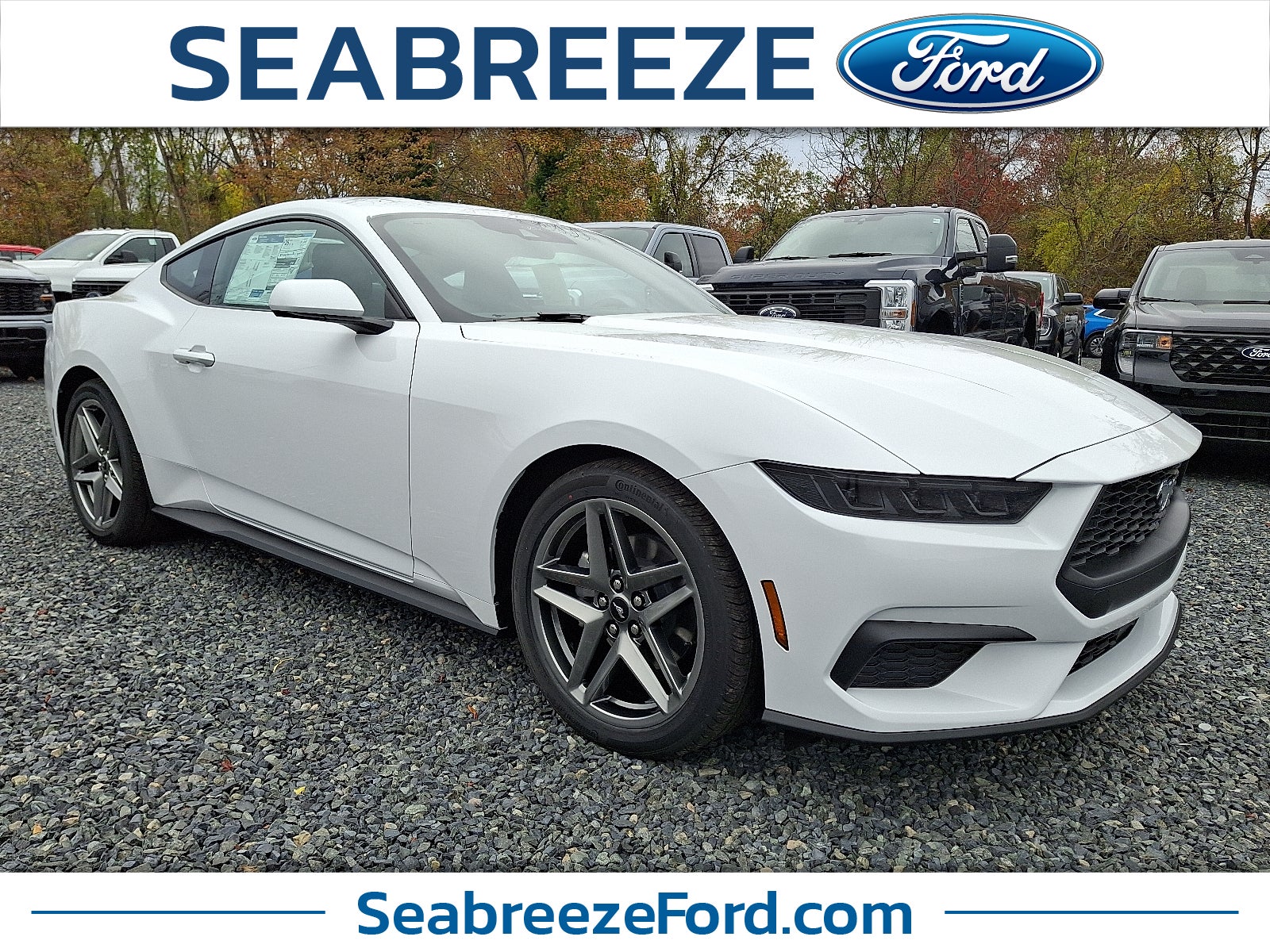 2026 Ford Mustang EcoBoost Premium Fastback