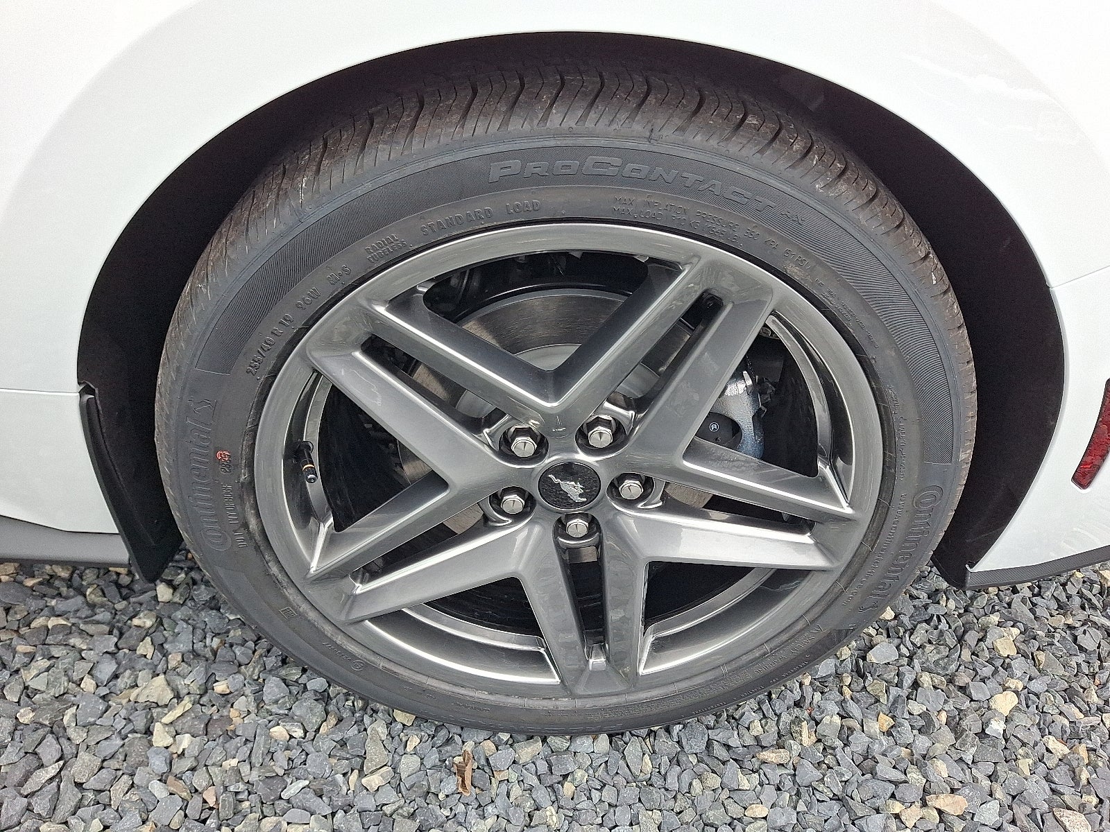 2026 Ford Mustang EcoBoost Premium Fastback