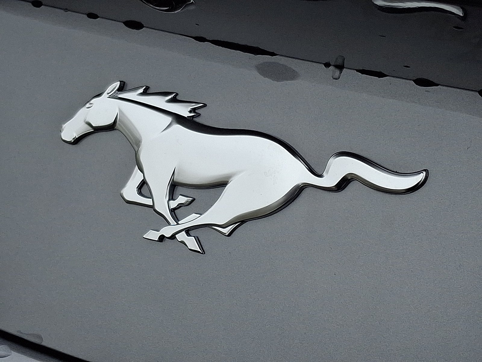 2026 Ford Mustang EcoBoost Fastback