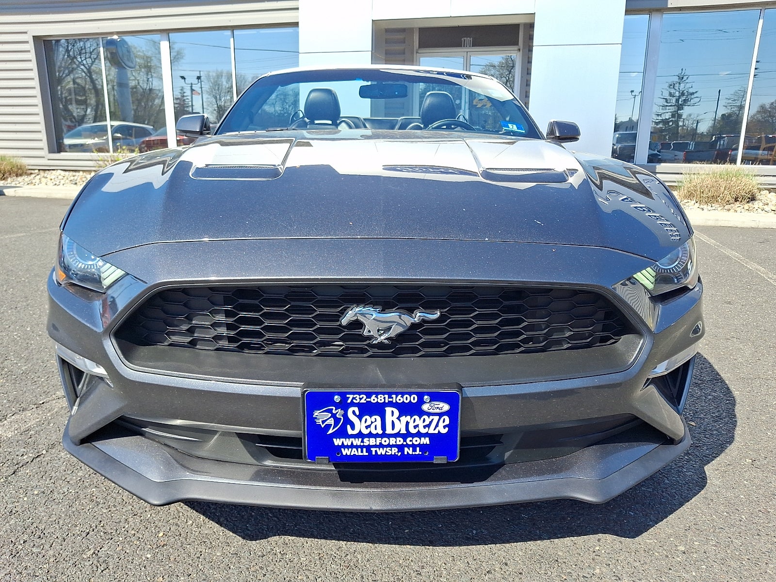 Used 2019 Ford Mustang EcoBoost Premium with VIN 1FATP8UH6K5162203 for sale in Wall Township, NJ