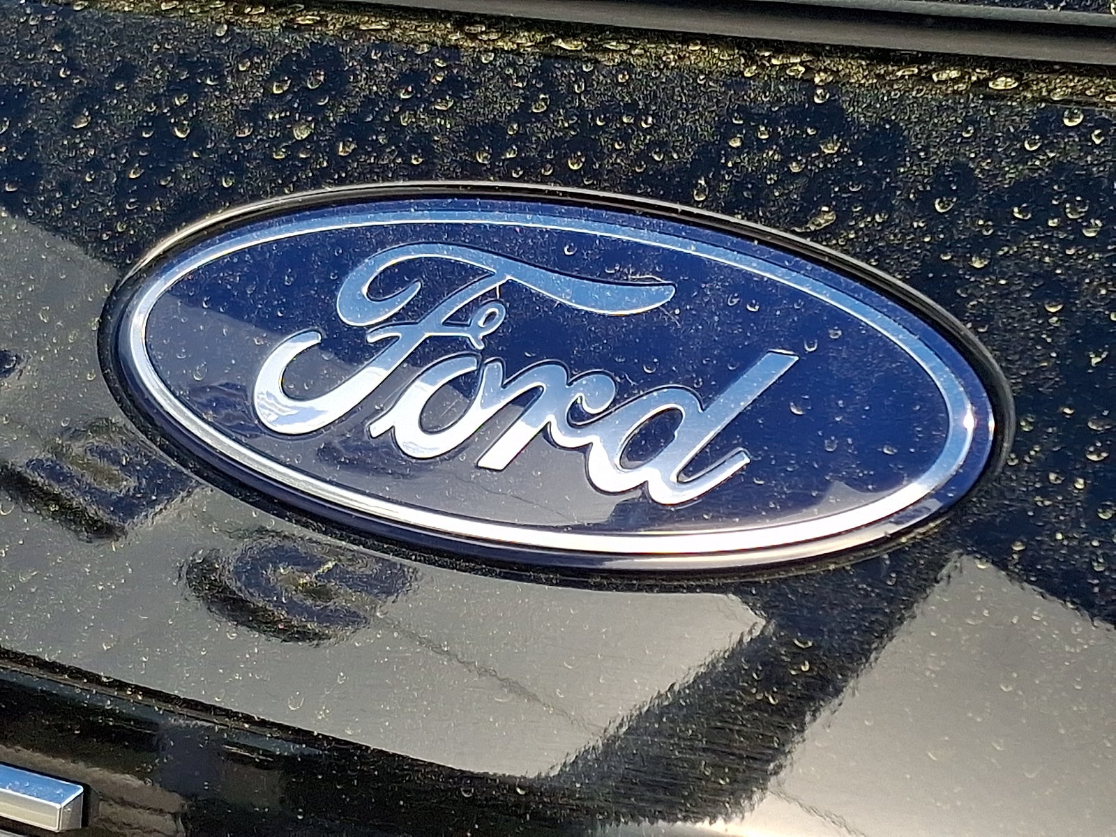 2025 Ford Expedition Platinum MAX