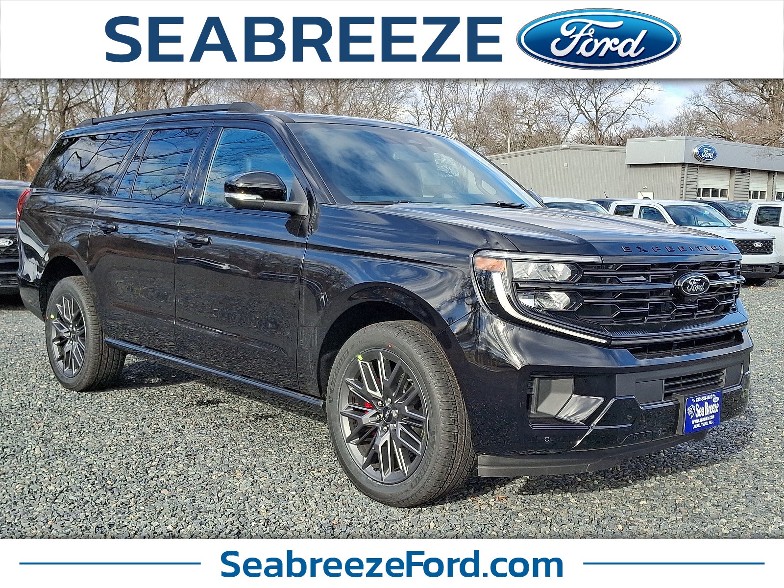 2025 Ford Expedition Platinum MAX