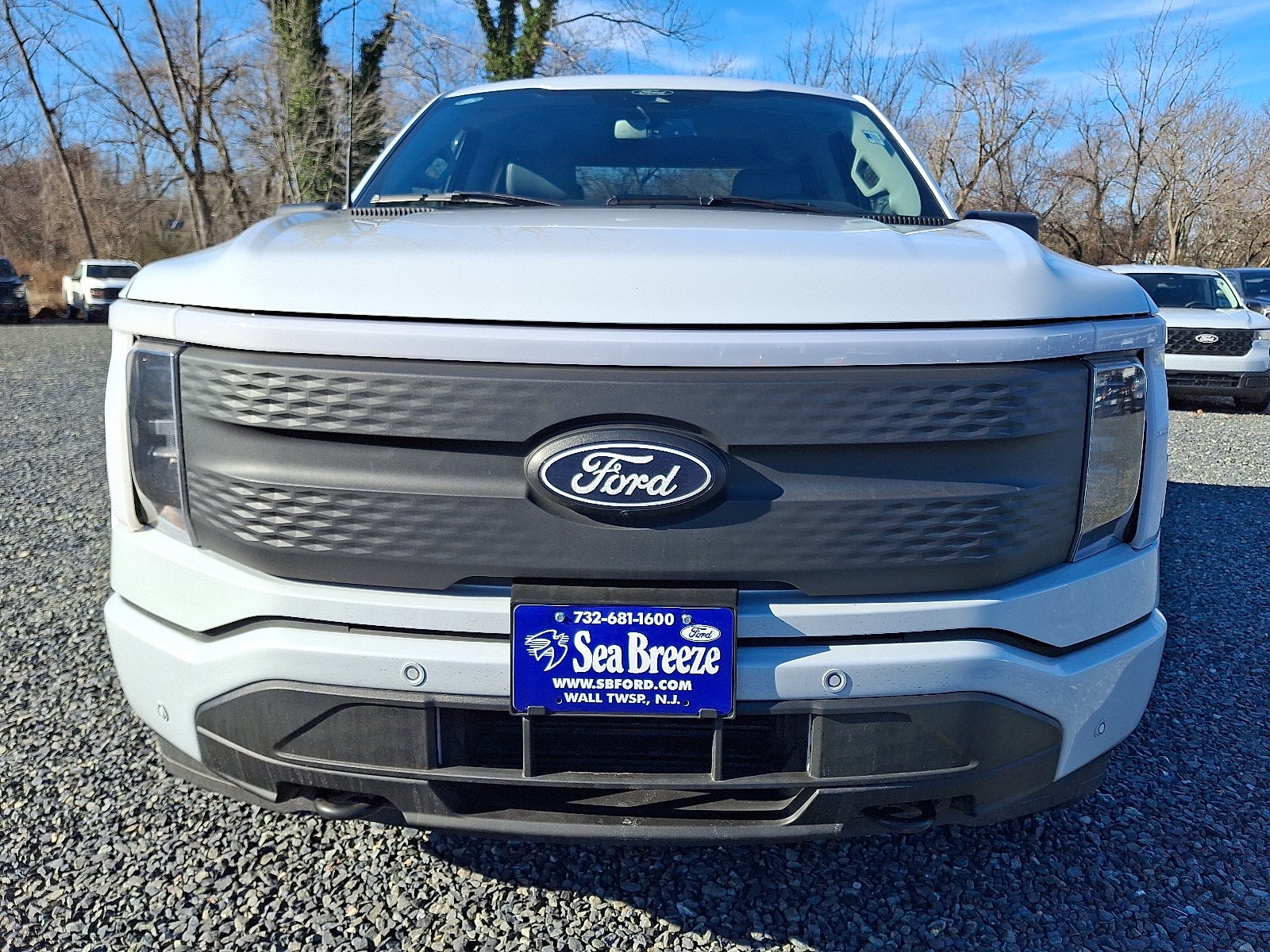 2025 Ford F-150 Lightning Flash