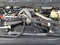 2026 Ford F-250 WORK READY 100K FORD WARRANTY INC