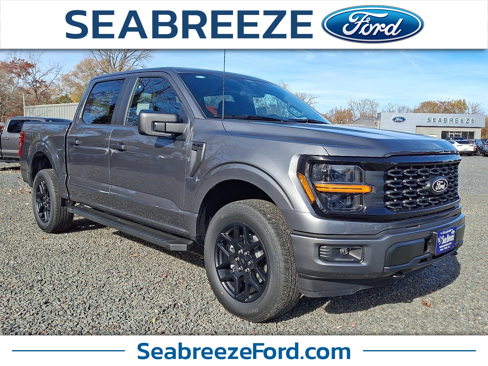 2025 Ford F-150 STX