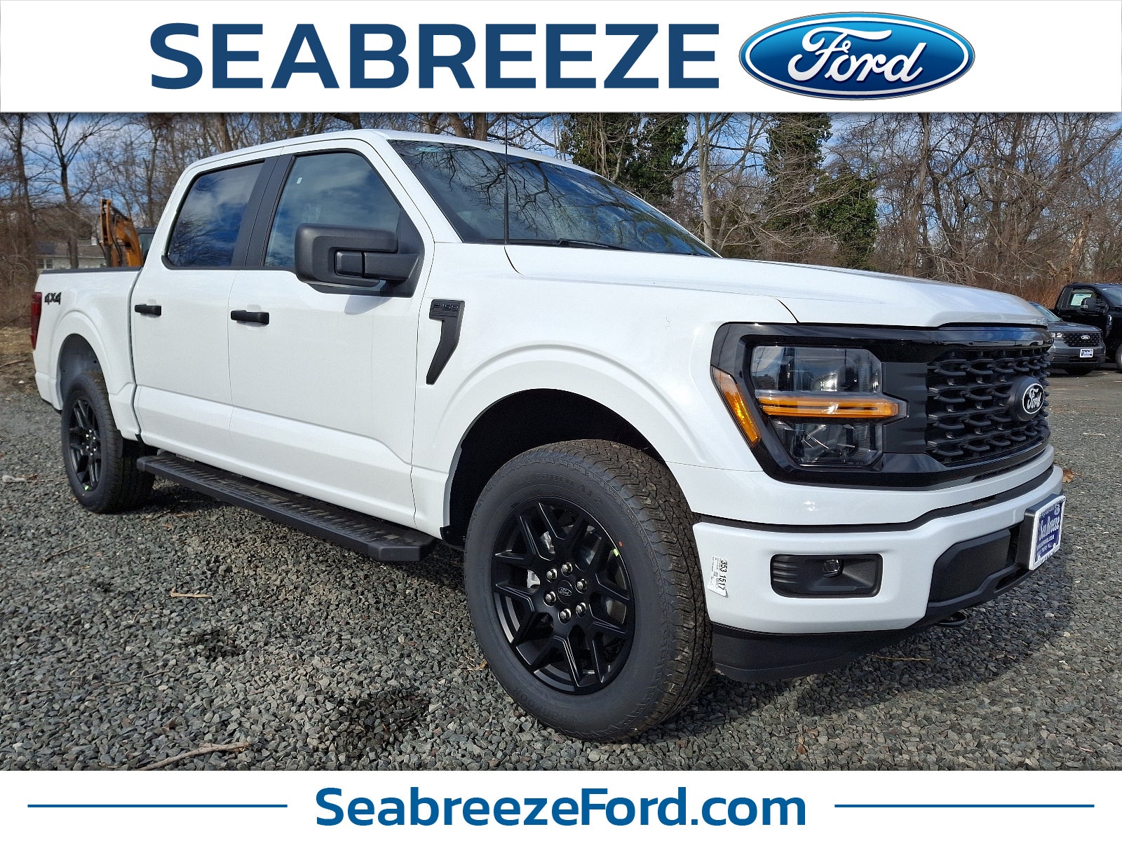 2025 Ford F-150 STX