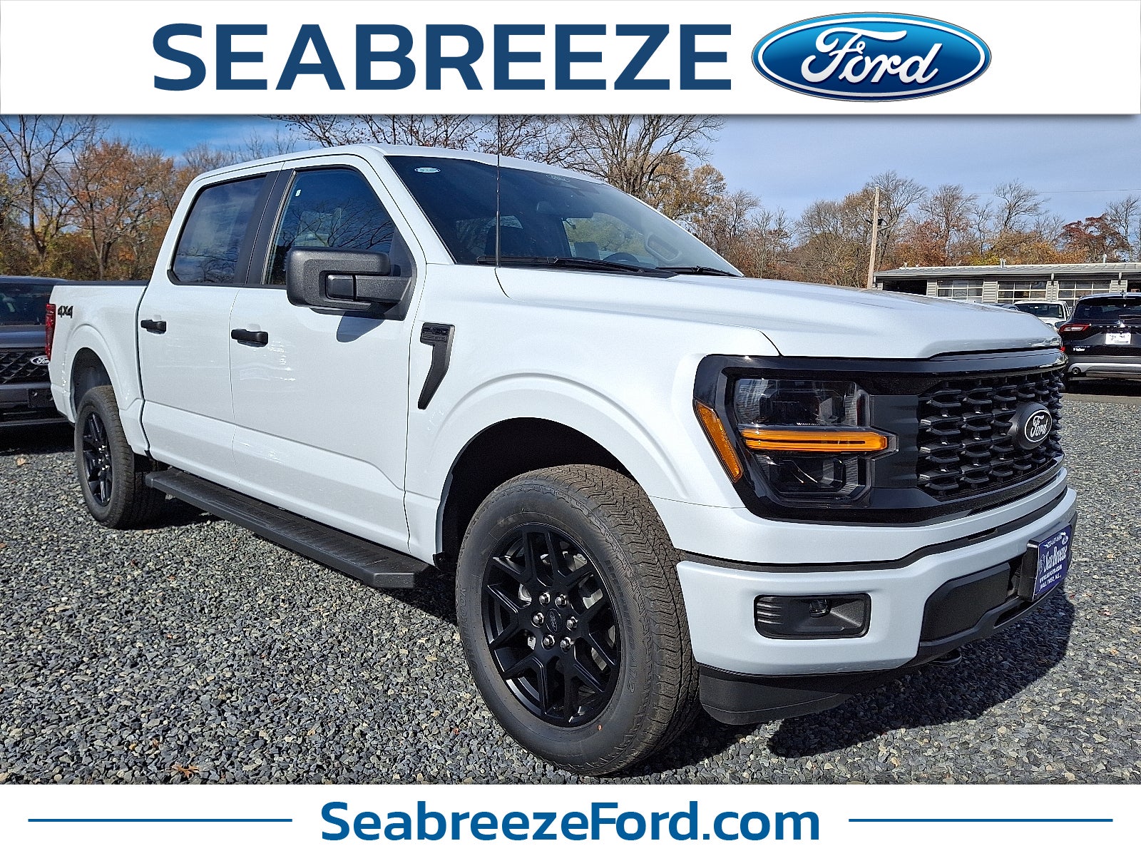 2025 Ford F-150 STX