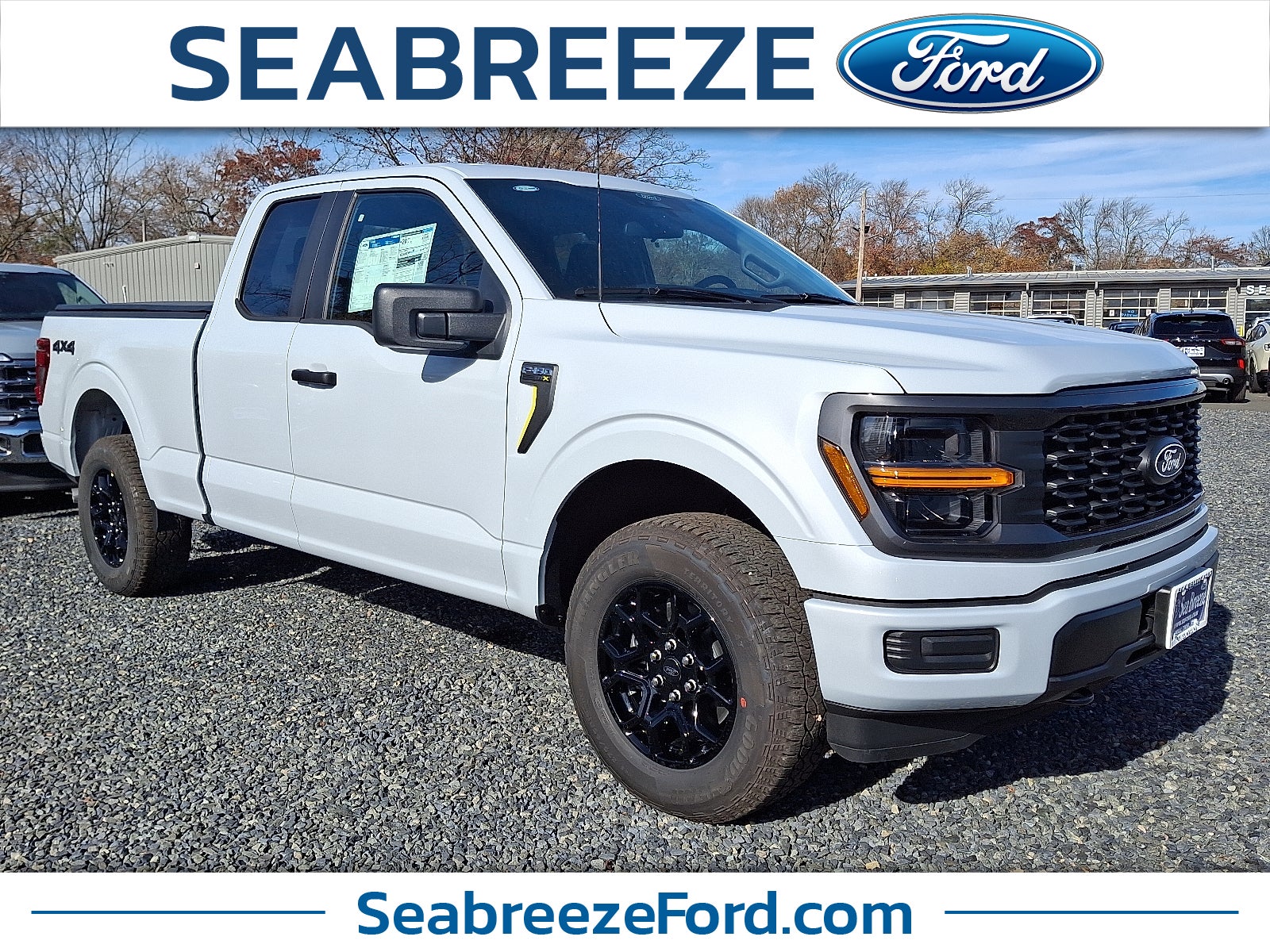 2025 Ford F-150 STX