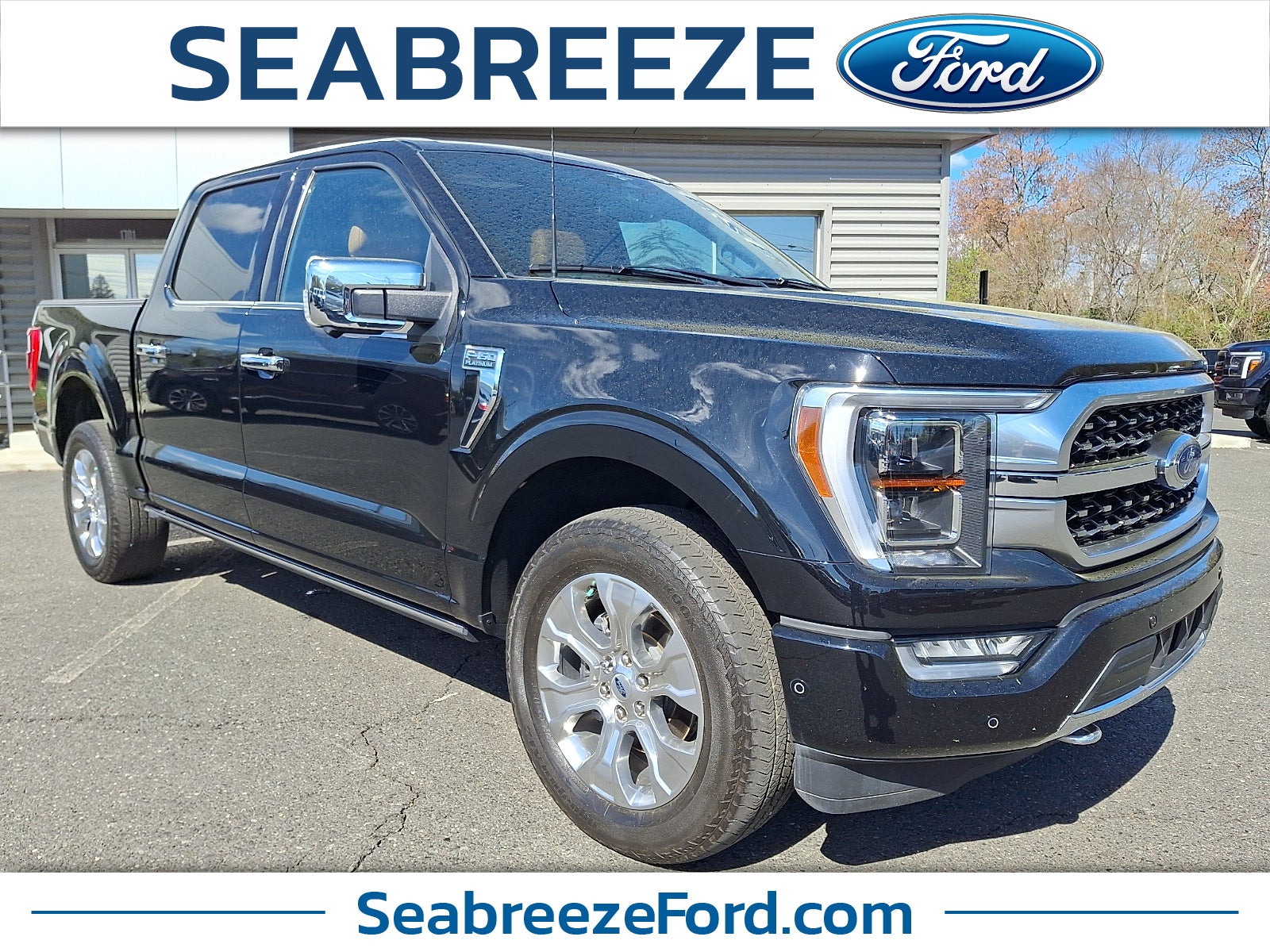 2023 Ford F-150 Platinum