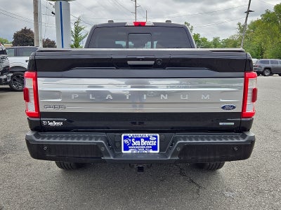 2021 Ford F-150 Platinum
