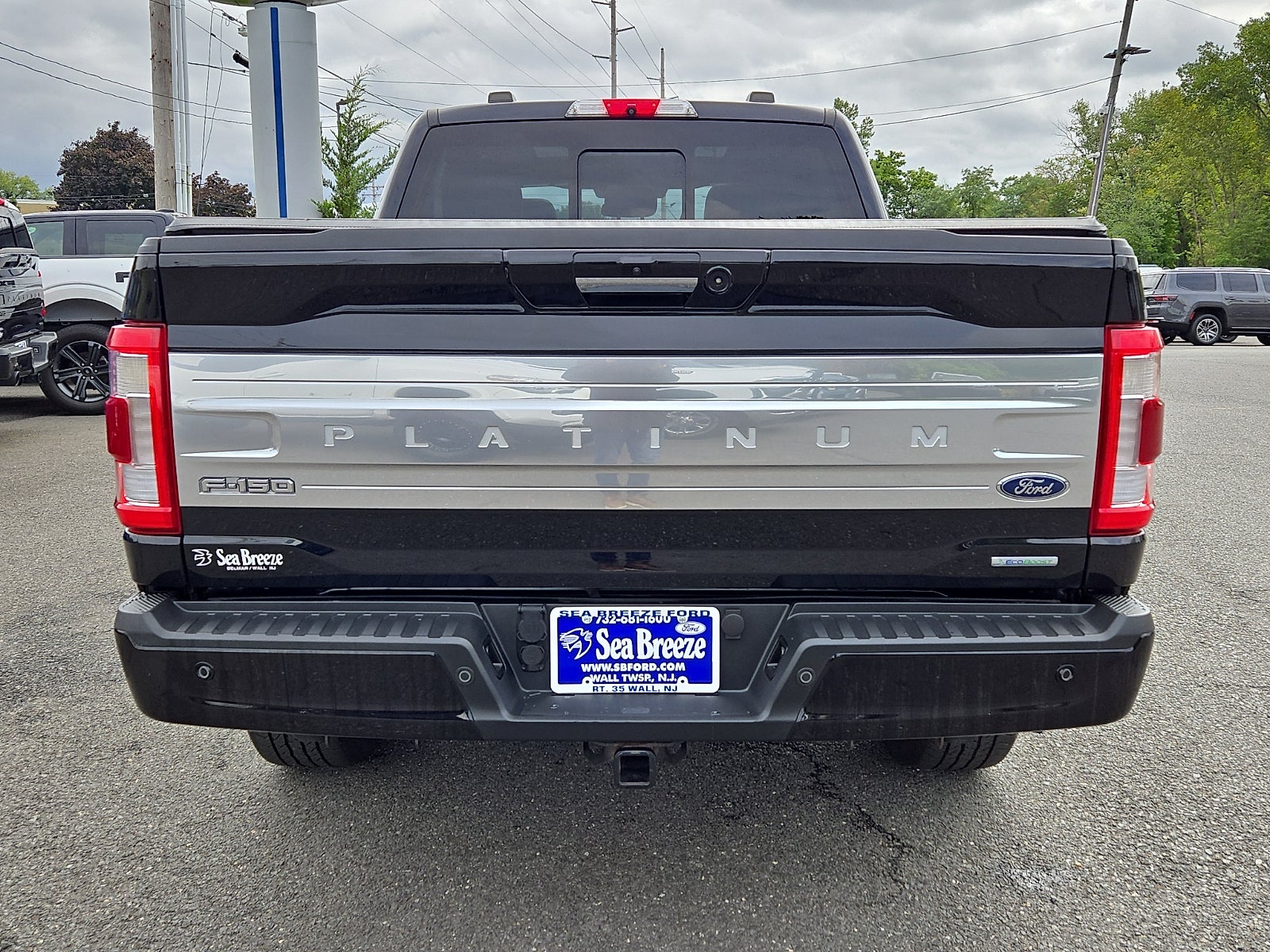 2021 Ford F-150 Platinum