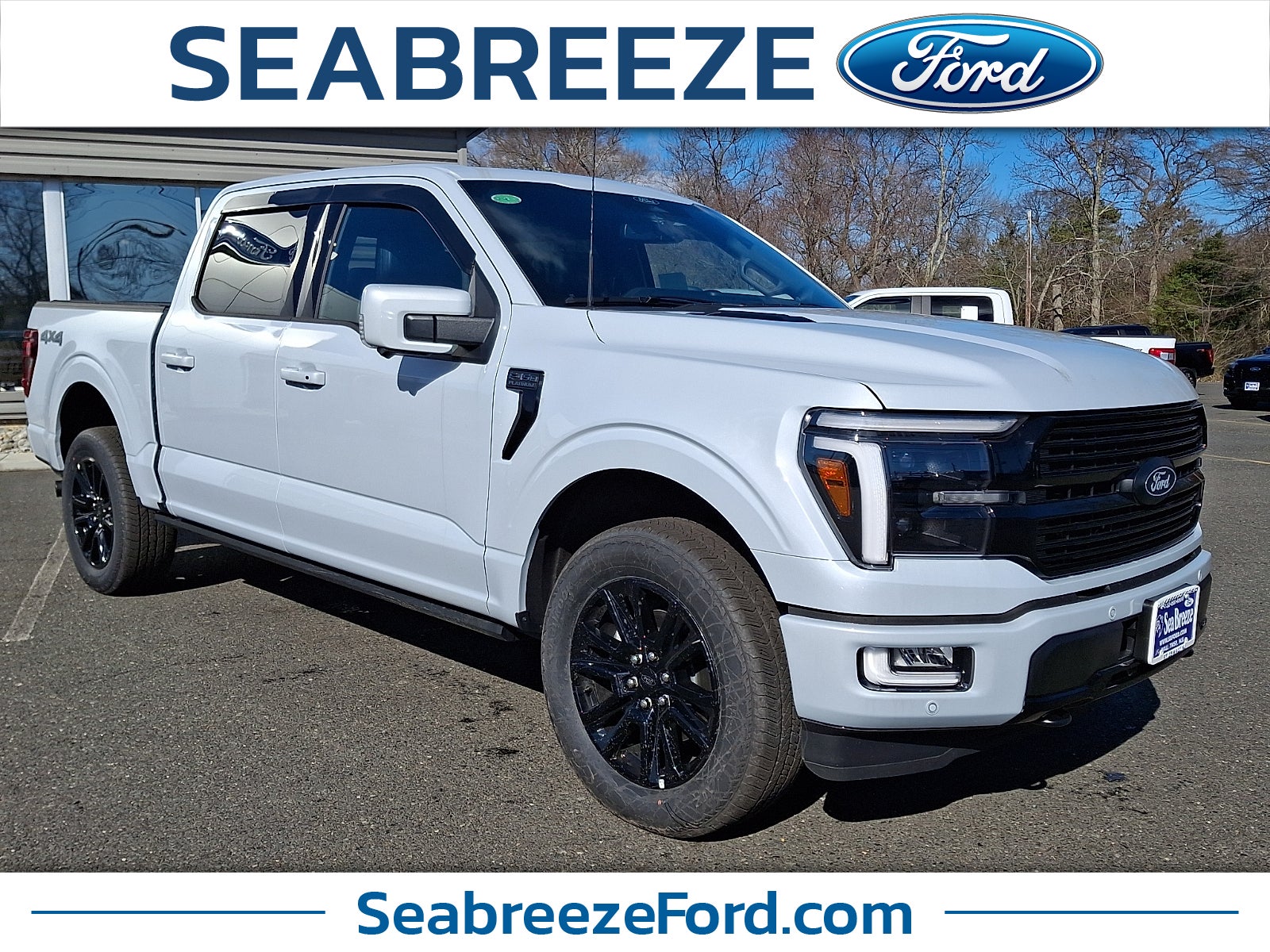 2025 Ford F-150 Platinum