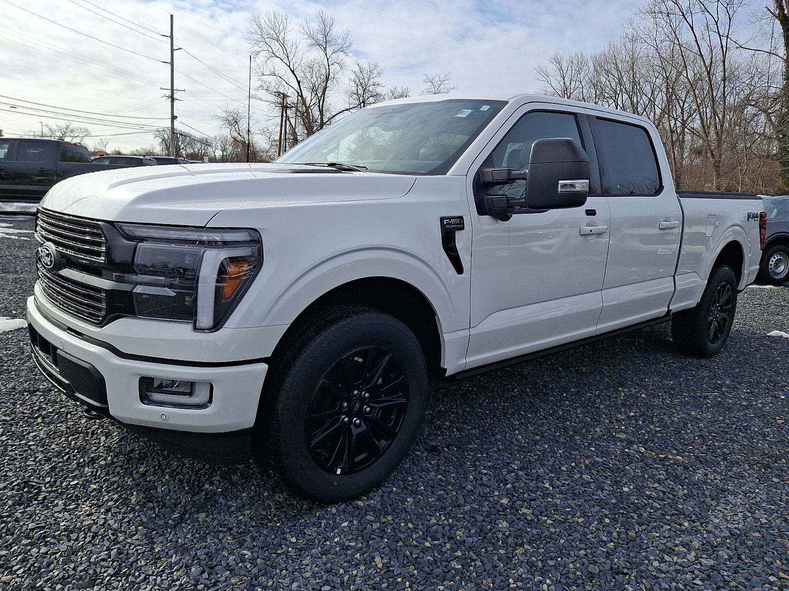 2025 Ford F-150 Platinum