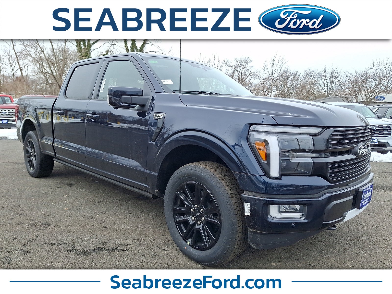 2025 Ford F-150 Platinum