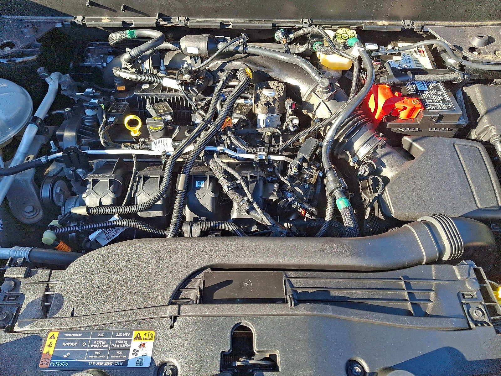 2022 Ford Maverick XLT