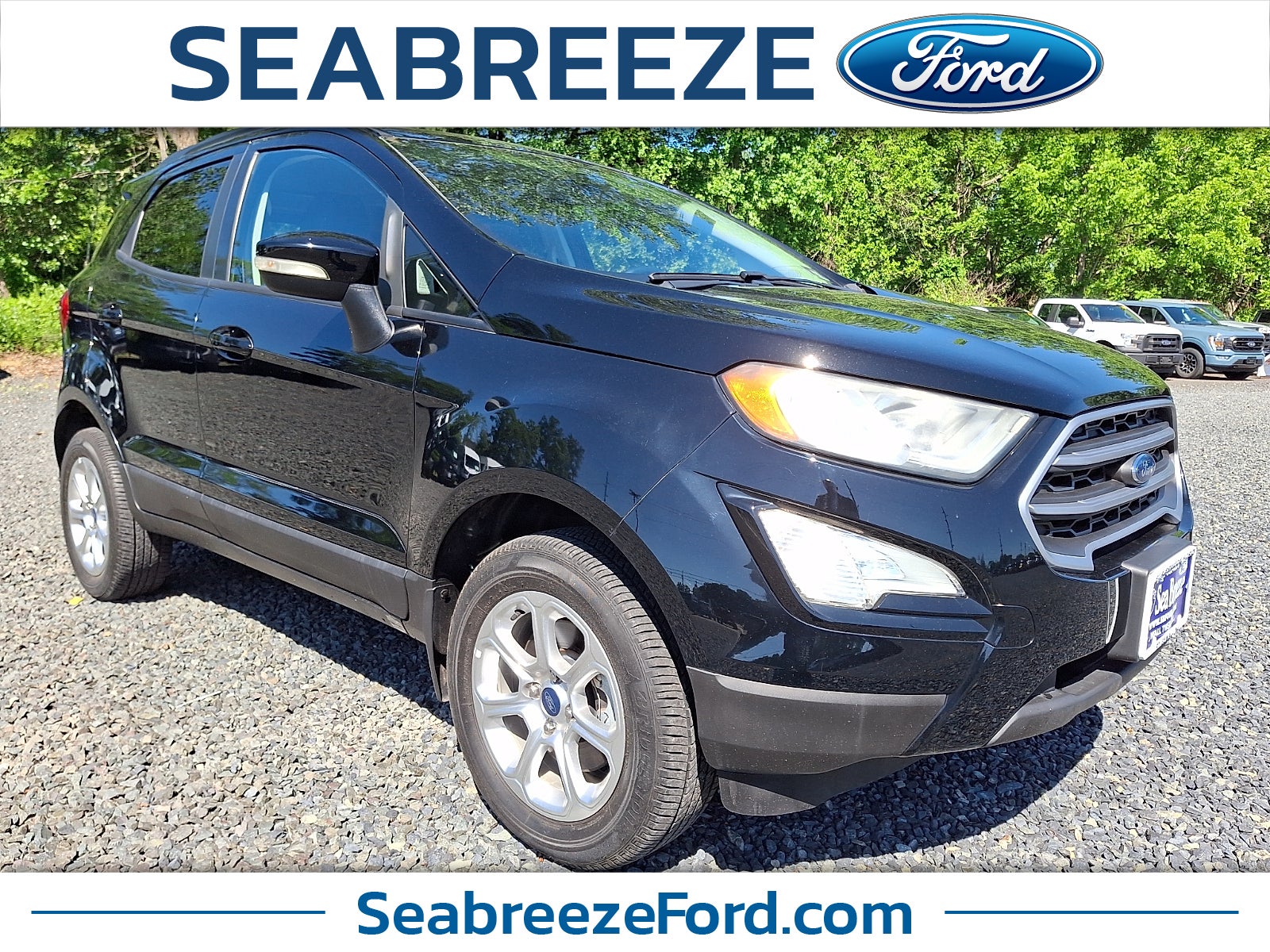 2019 Ford EcoSport SE